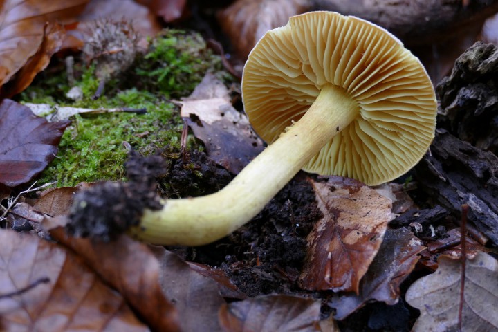 P1080684_1200.jpg