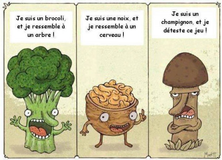 champi blague.jpg