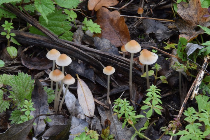 DSC_0269.jpg