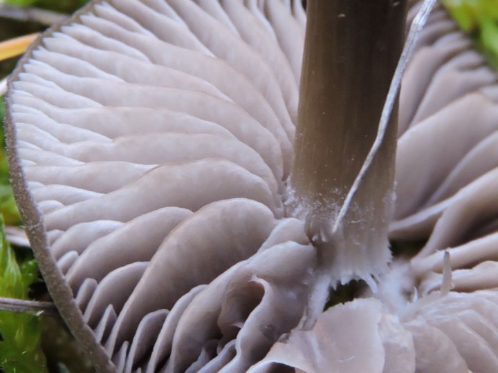 RSCN6022.JPG