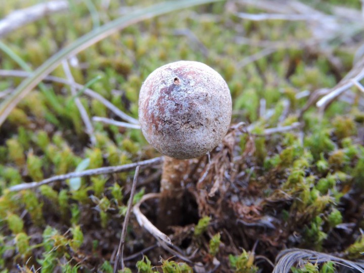 RSCN6403 - Copie.JPG