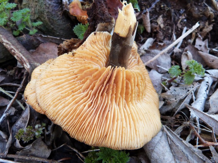 P1050093.JPG