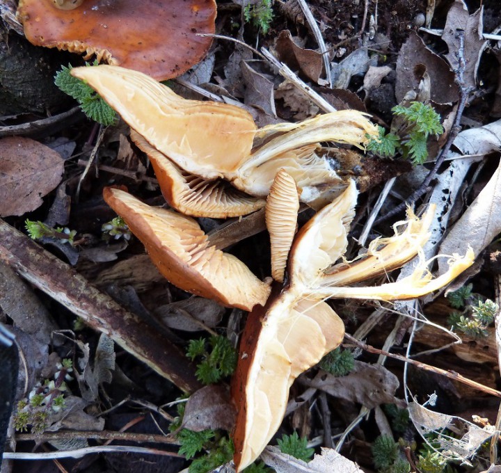P1050094.JPG