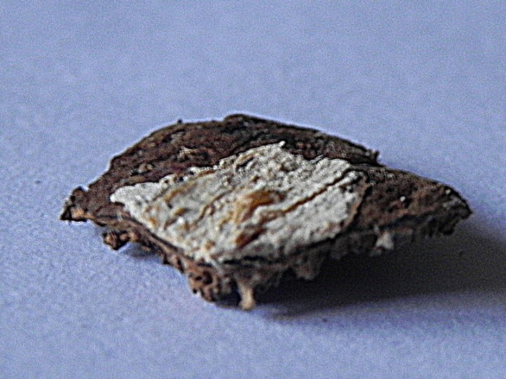 DSCN1314b.JPG