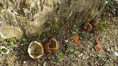 20180320_150145.jpg