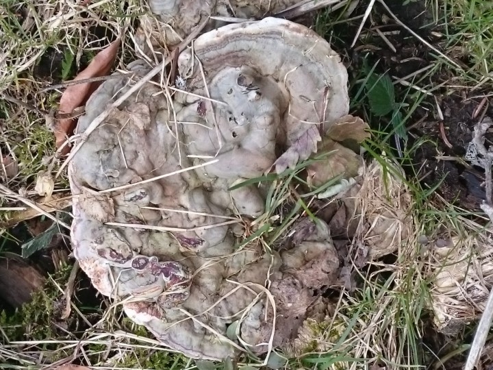 DSC_2912.jpg