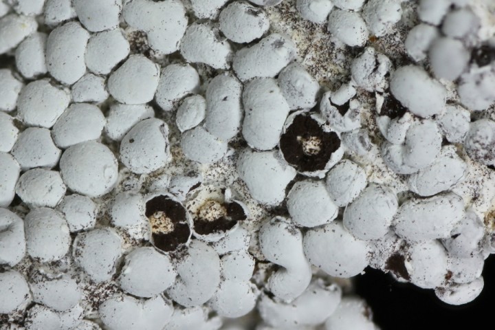 20120510_201814_R=8_S=4.jpg
