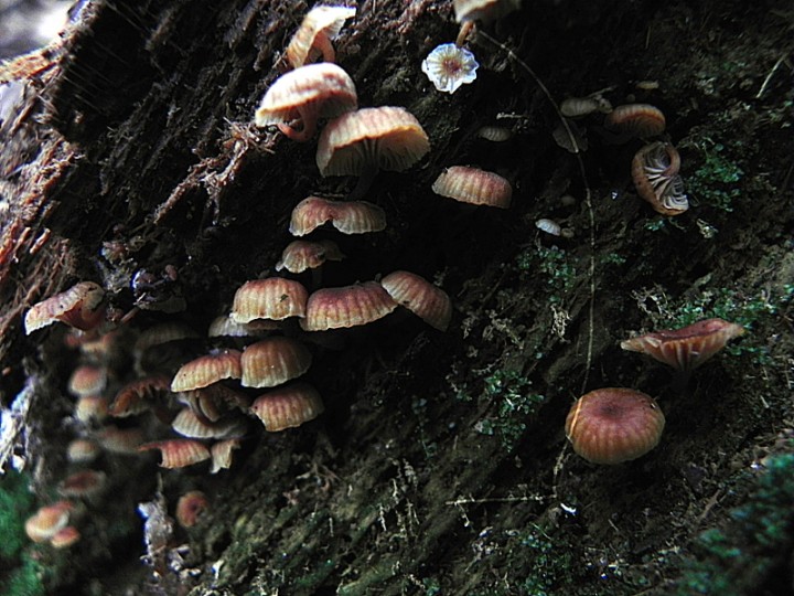 DSCN1435b.JPG