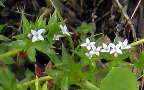 20180413_150549bis.jpg