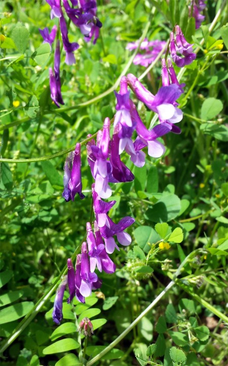 20180414_124420.jpg
