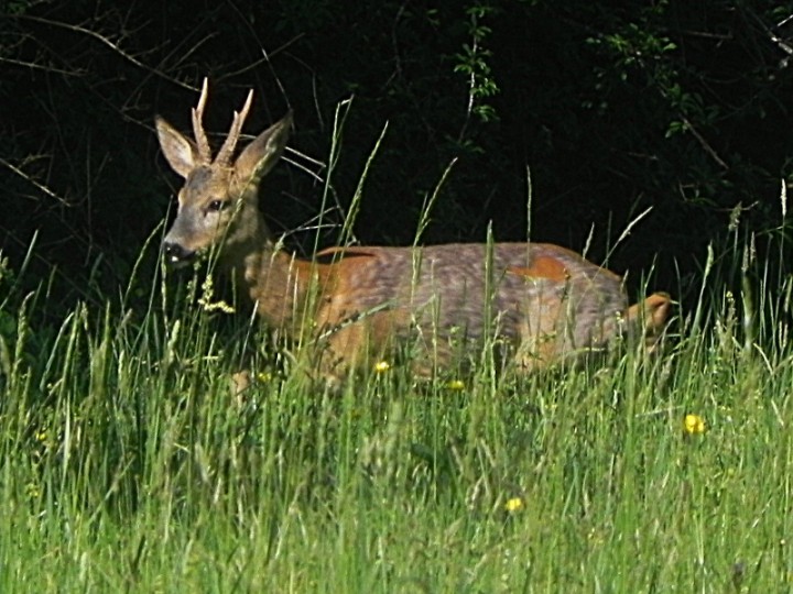 DSCN8022b.JPG