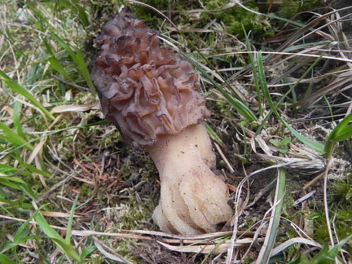 DSCN8110b.JPG