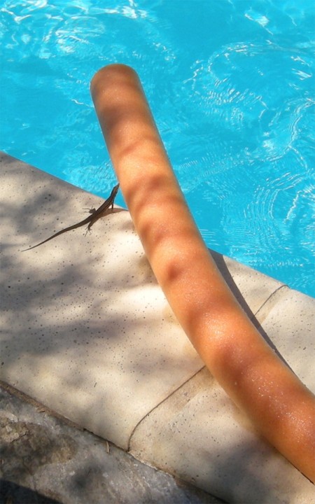 20140907_123739bis.JPG