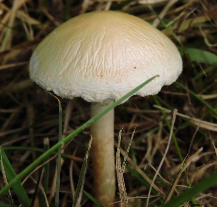 RSCN7535.JPG