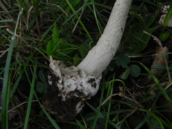 DSCN8374b.JPG