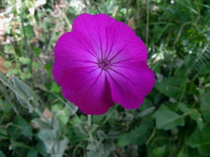 DSCN8432b.JPG