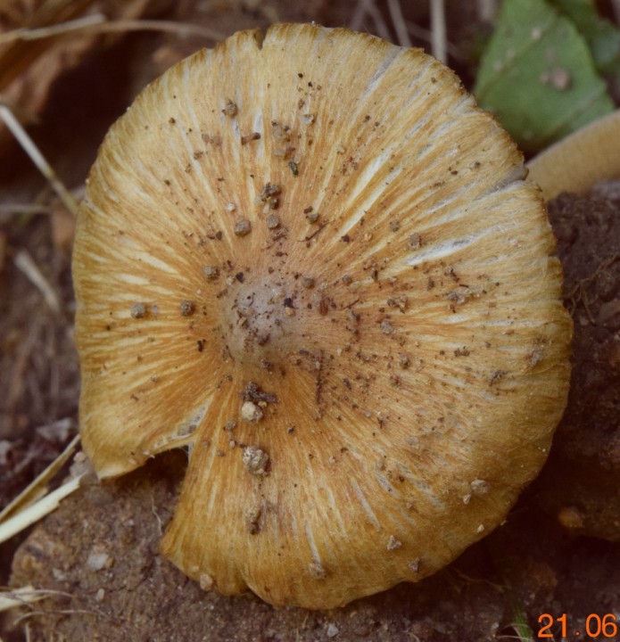 DSC_0272_01.JPG
