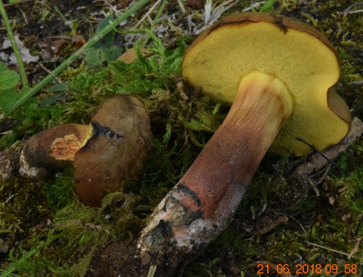 DSC_0274_01.JPG