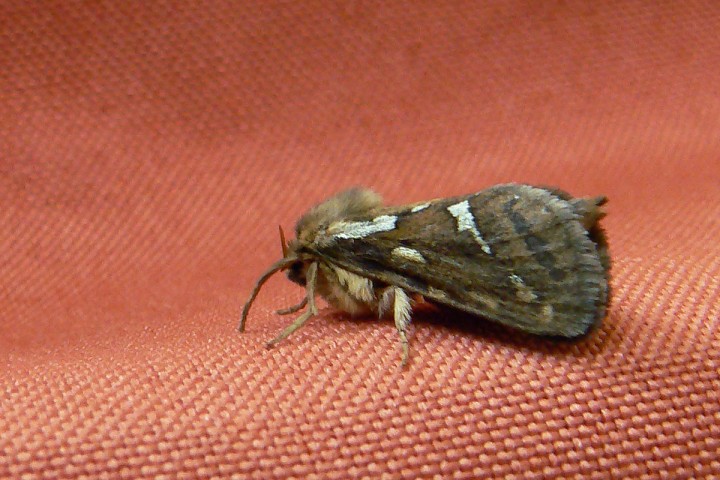 P1290325.jpg