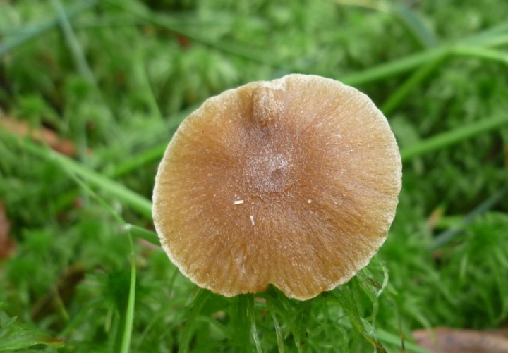 L1310863 (copie 1).JPG