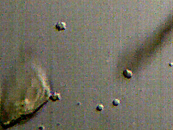 Capture_11b.jpg