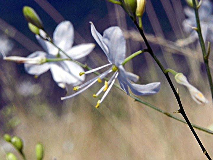 DSCN9092c.JPG
