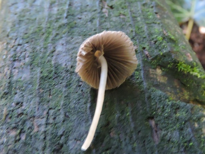 RSCN3795 - Copie.JPG