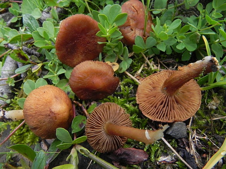 DSCN9489b.JPG