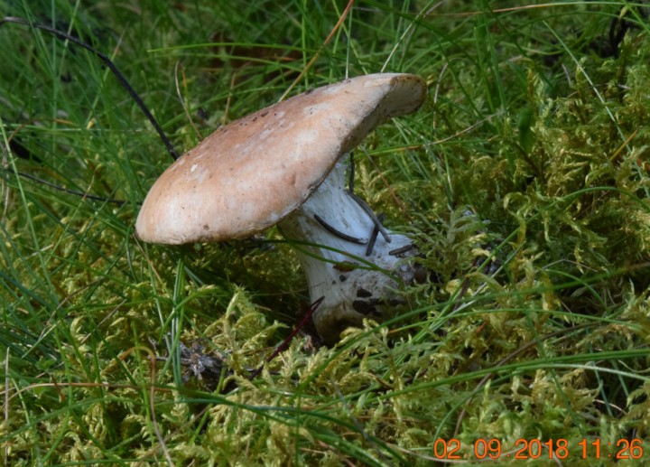 DSC_0487_01.JPG