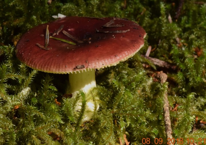 DSC_0513_01.JPG