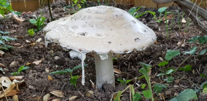 20180910-181254.jpg