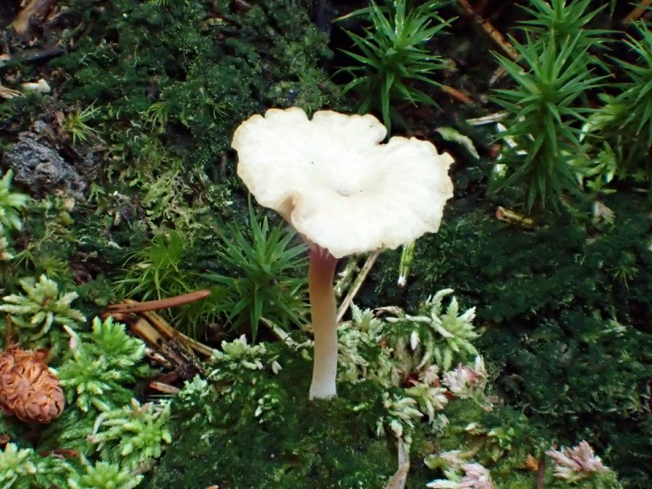 P9120196.JPG