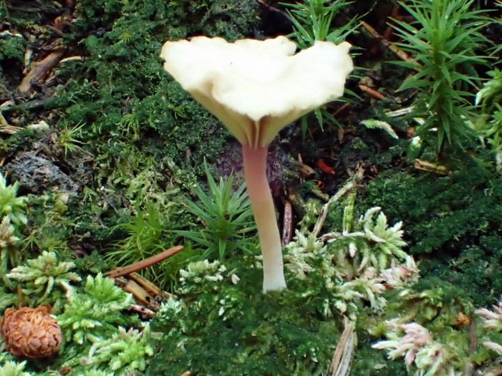 P9120194.JPG
