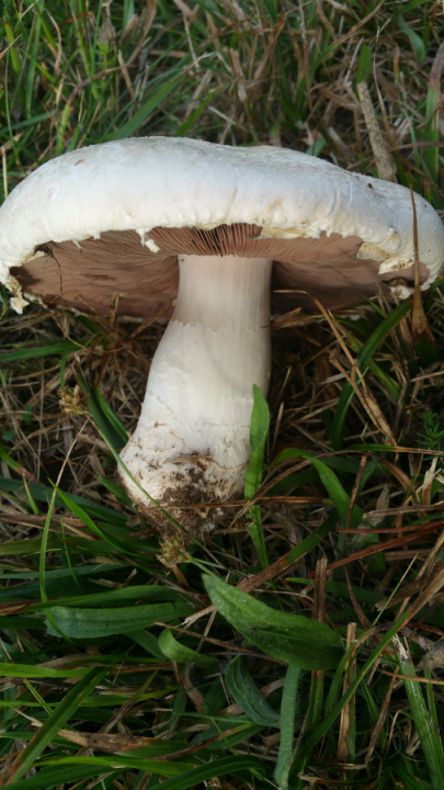20180914_090400.png