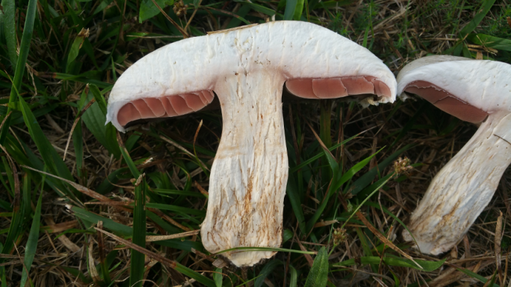 20180914_090450.png