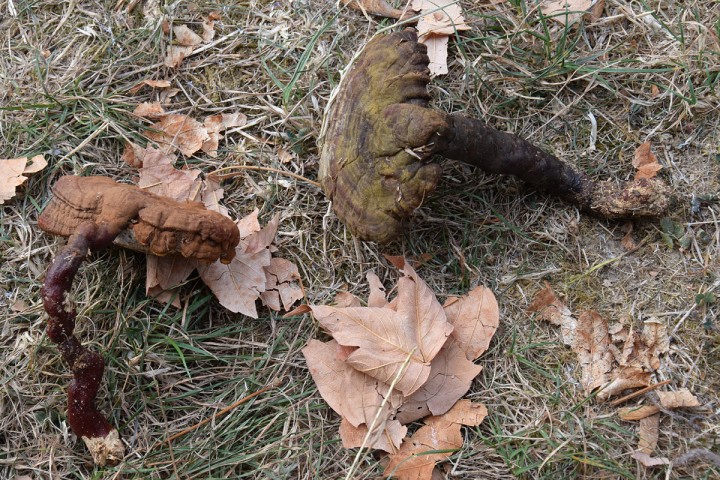 DSC_0406.jpg