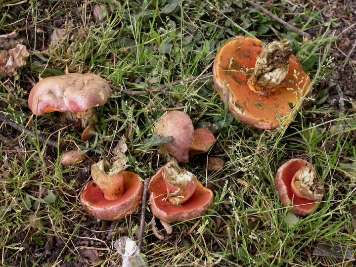 DSCN2866.jpg