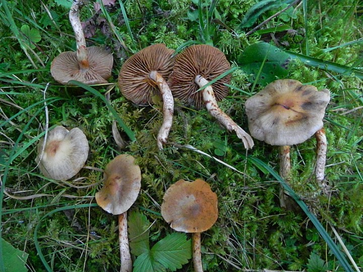 DSCN9690b.JPG