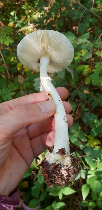20180926_115736.jpg