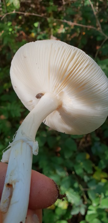 20180926_115747.jpg
