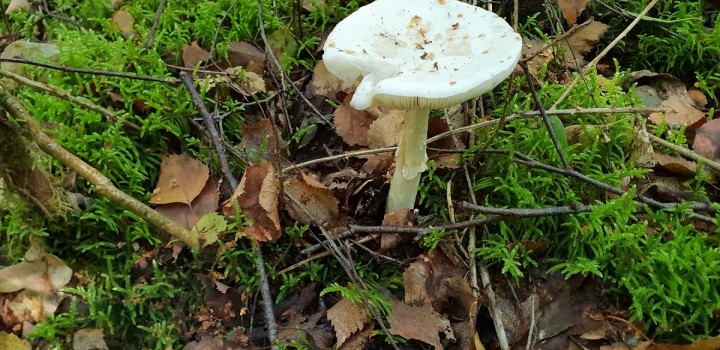 20180926_115913.jpg