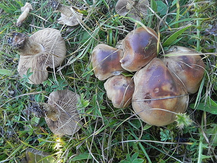 DSCN9865b.JPG