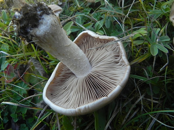 DSCN9867b.JPG