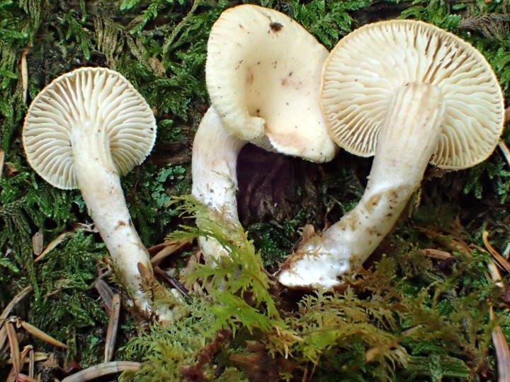 PA090135.JPG