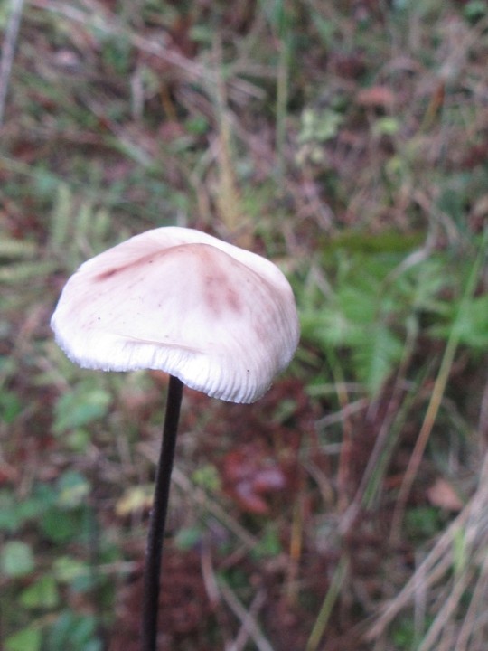 _jezainville (3).JPG