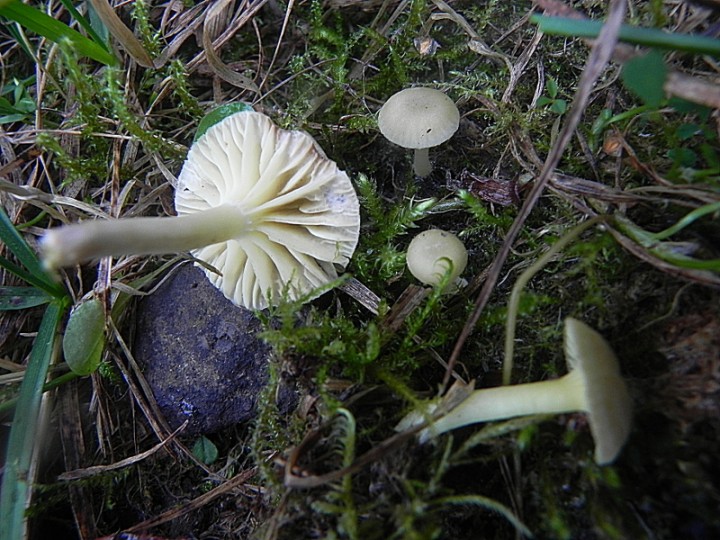 DSCN9953b.JPG