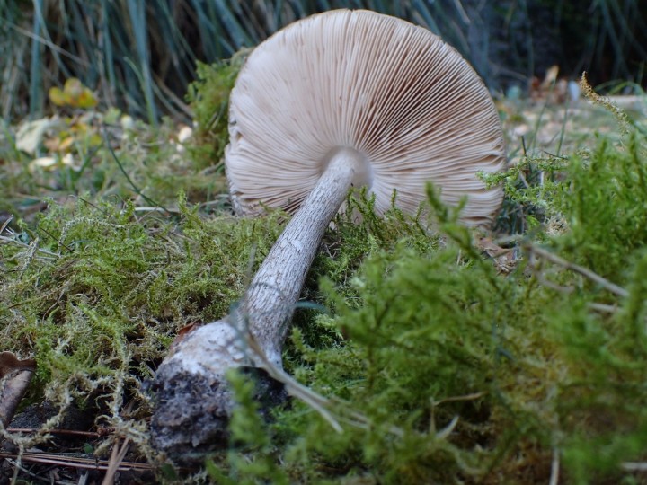 PA103858 (1024x768).jpg