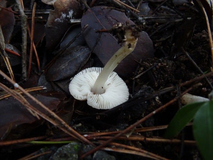 DSC01891.jpg