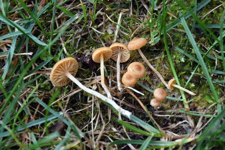 DSC_0552.jpg