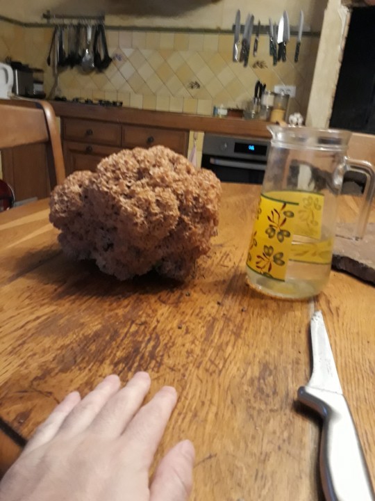 20181111_172448-min.jpg